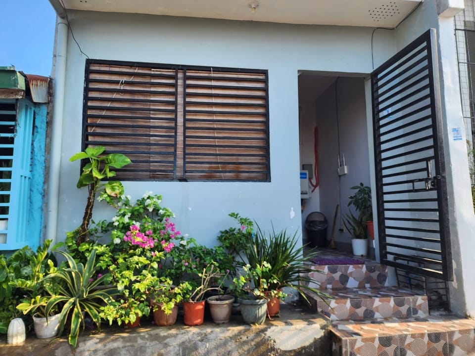 Day, Garden