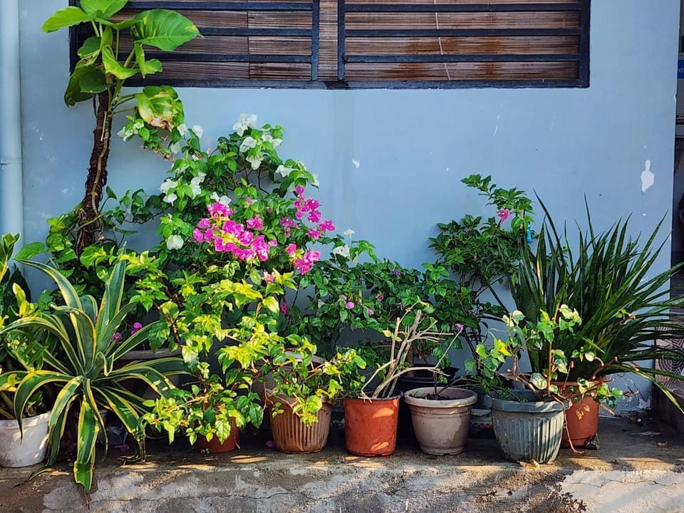 Day, Garden