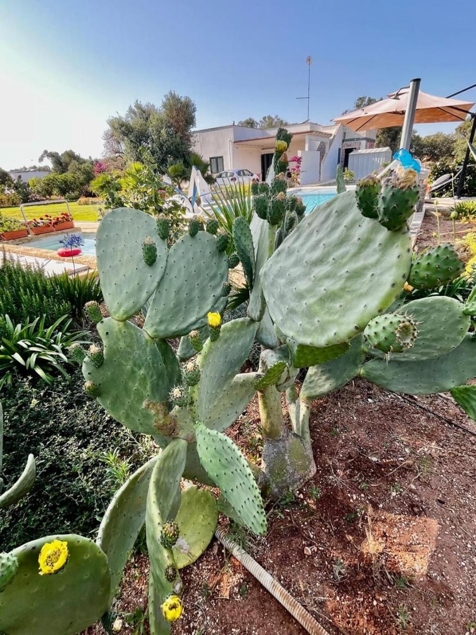 CASA JANE Appartamento in villa House in Province of Taranto