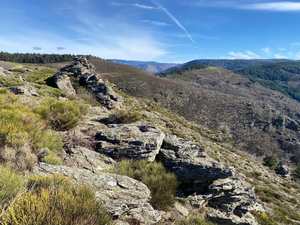 Natural landscape