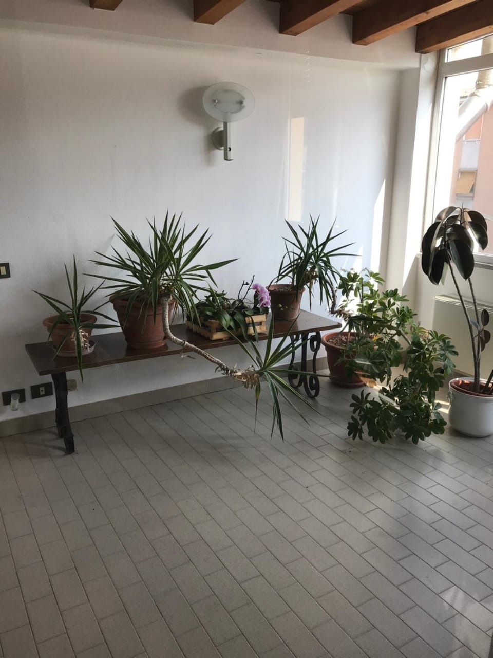 Guesthouse Flora Bed and Breakfast in Lombardy