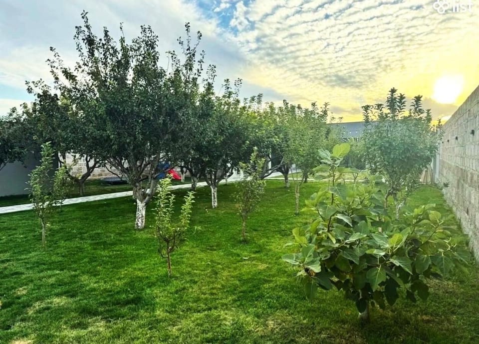 Natural landscape, Garden, Garden, Garden view