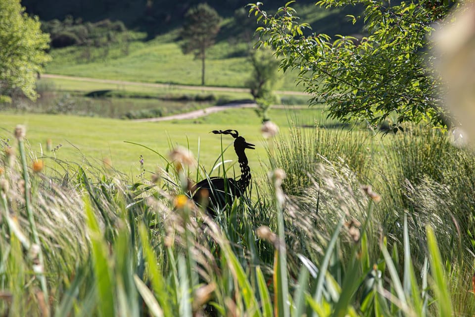 Garden, Animals, Garden view