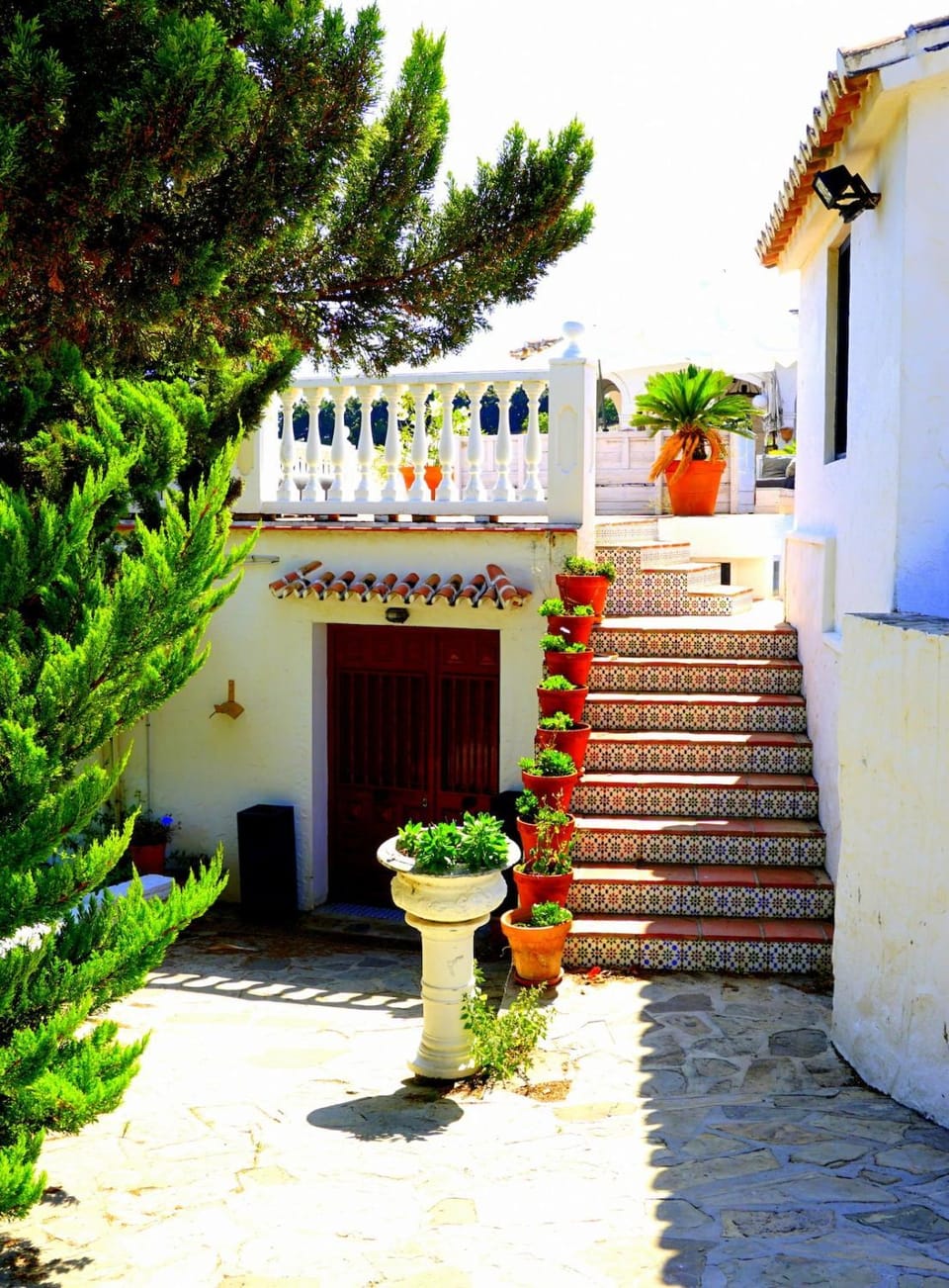 Suite in Finca Molino in Almayate with Pool, Sea Views, Family Touch & Dog Madness Apartment in Axarquía