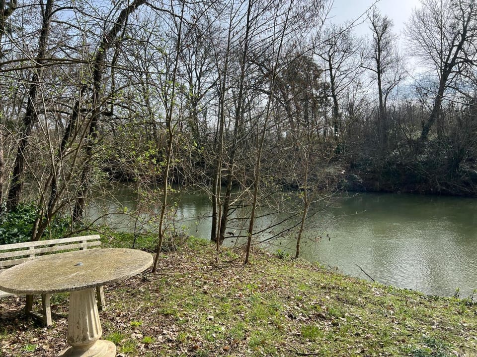 Spring, Day, Natural landscape, Lake view, River view