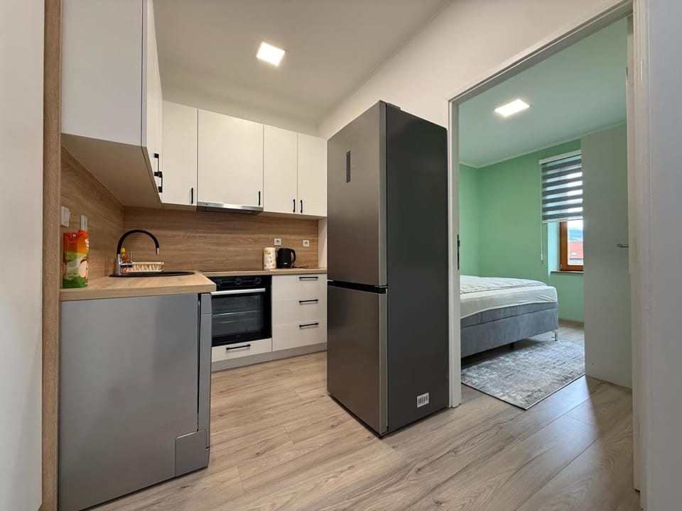 City centre apartment - Marijin Dvor Apartment in Sarajevo
