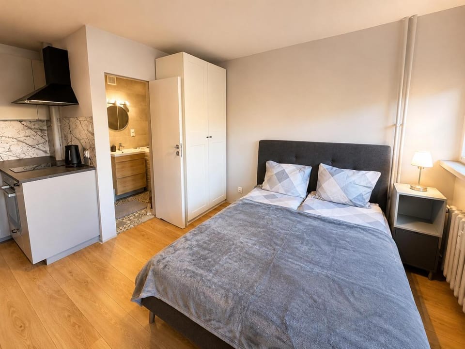 Bed, Kitchen or kitchenette, Bedroom, oven, wardrobe
