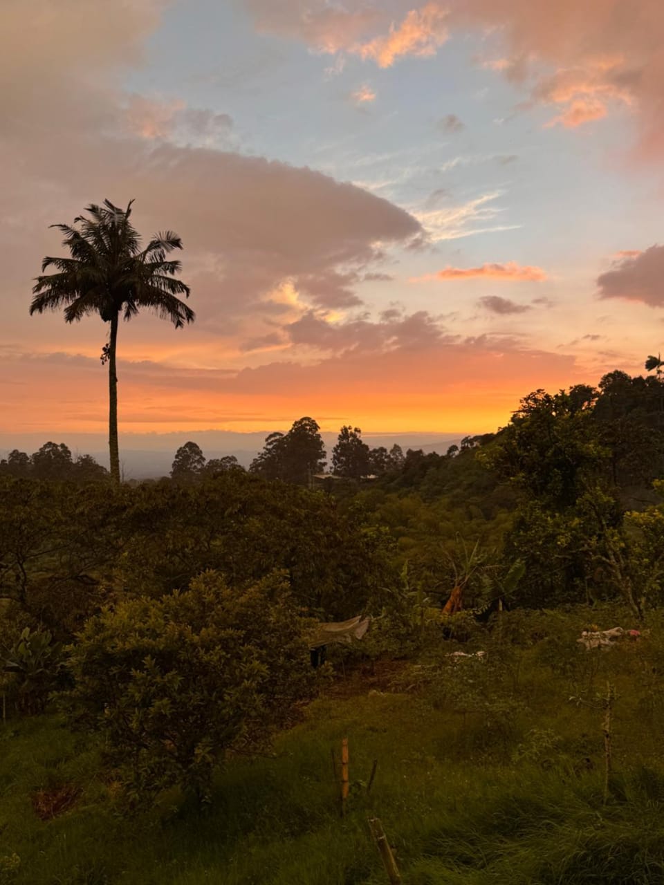 Natural landscape