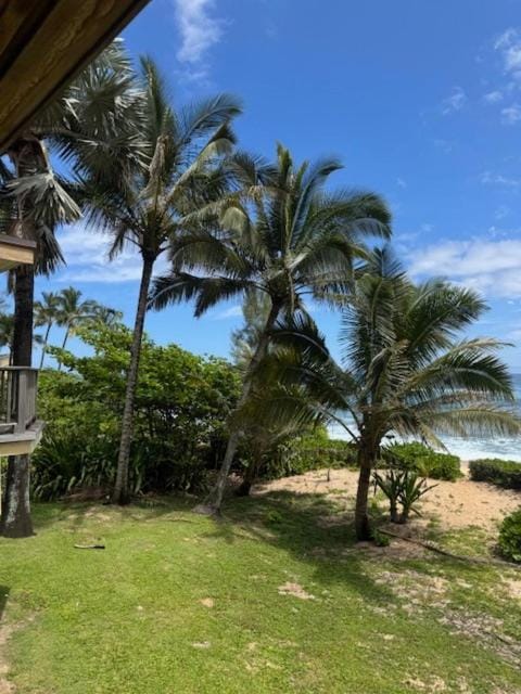 Day, Natural landscape, Summer, Garden, Beach