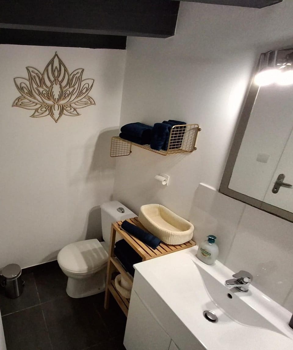 Toilet, Bathroom, towels