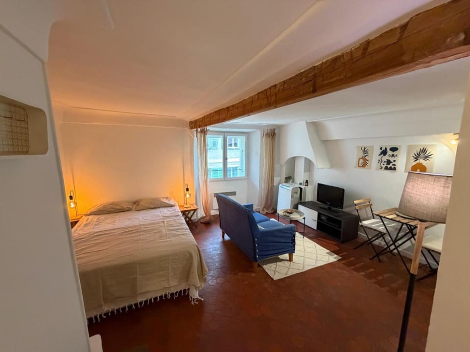 Le Matisse - Cocoon au coeur du vieux Nice Apartment in Nice