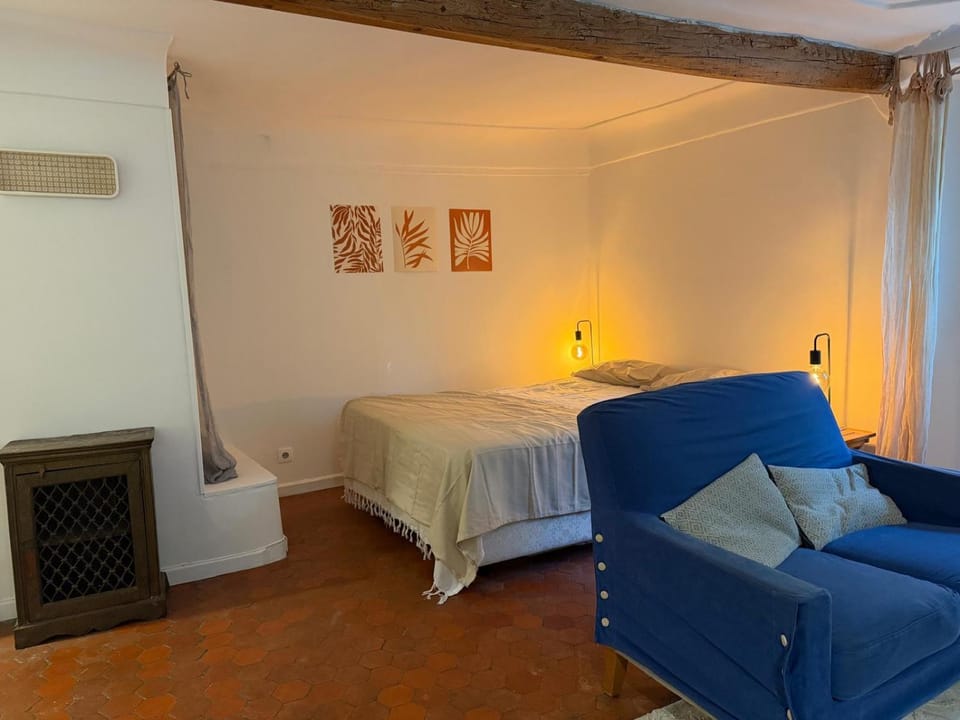 Le Matisse - Cocoon au coeur du vieux Nice Apartment in Nice