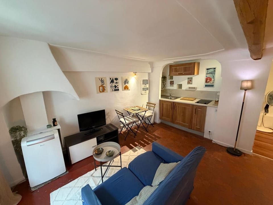 Le Matisse - Cocoon au coeur du vieux Nice Apartment in Nice