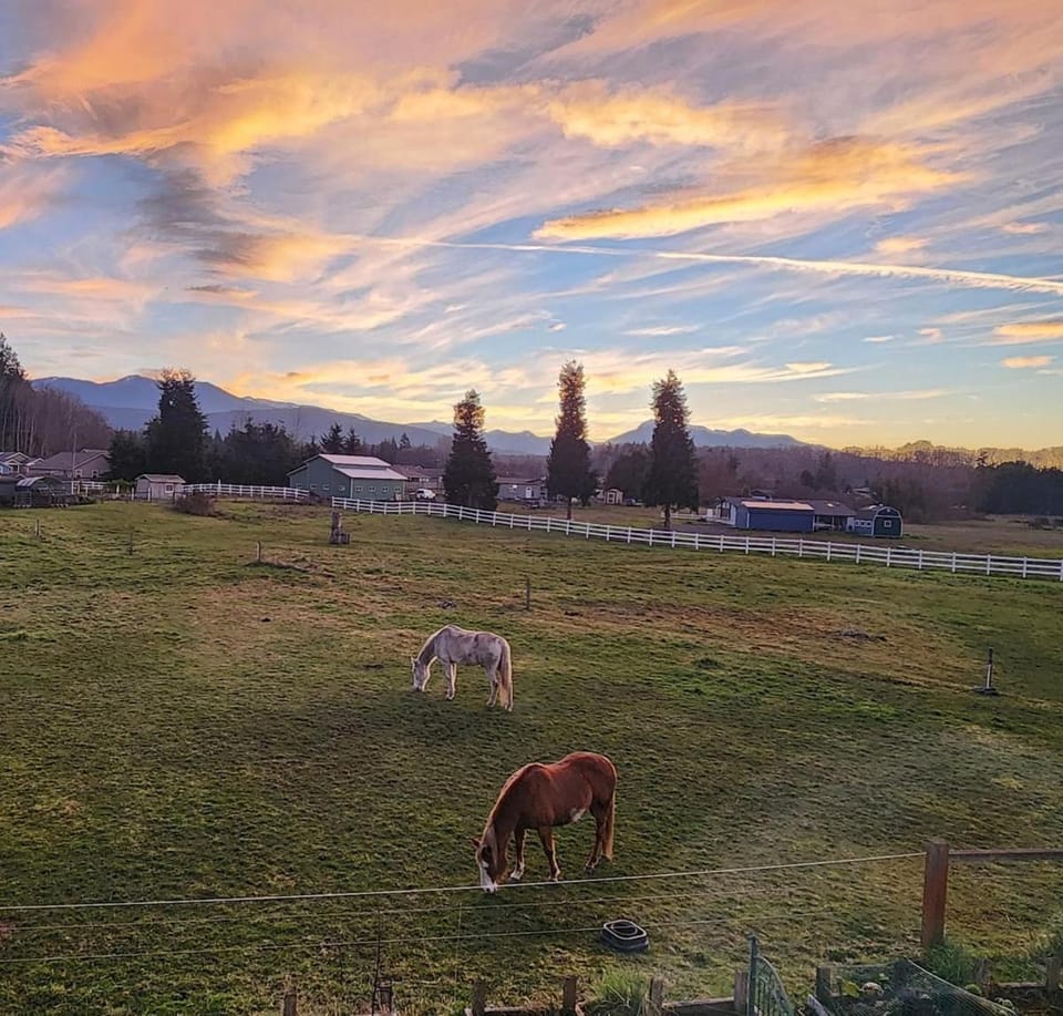 Sunny Farm Stay, Horses & Chickens, On the ODT Apartment in Sequim