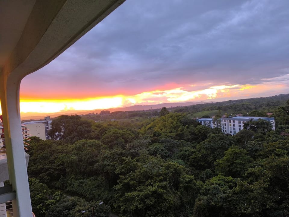 View (from property/room)