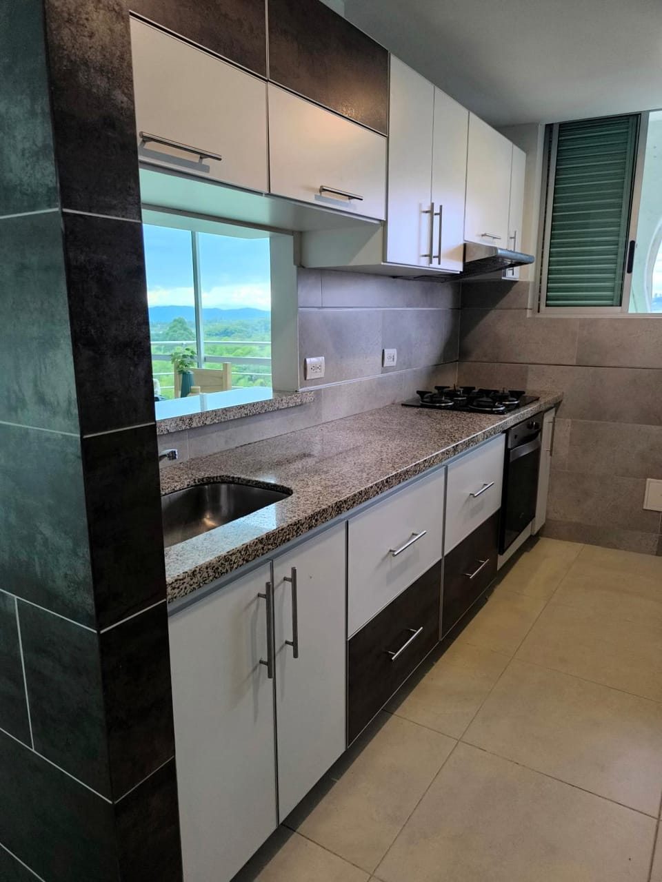Kitchen or kitchenette, minibar, pet friendly, stove