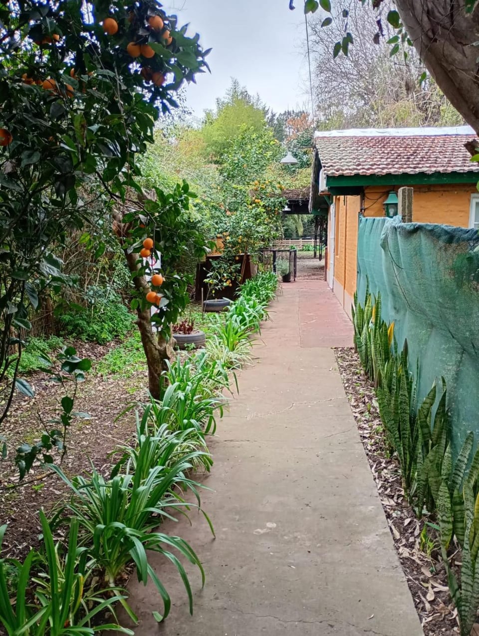 Quinta La Inesita House in Buenos Aires Province
