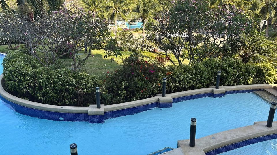 Summer, Garden, Swimming pool