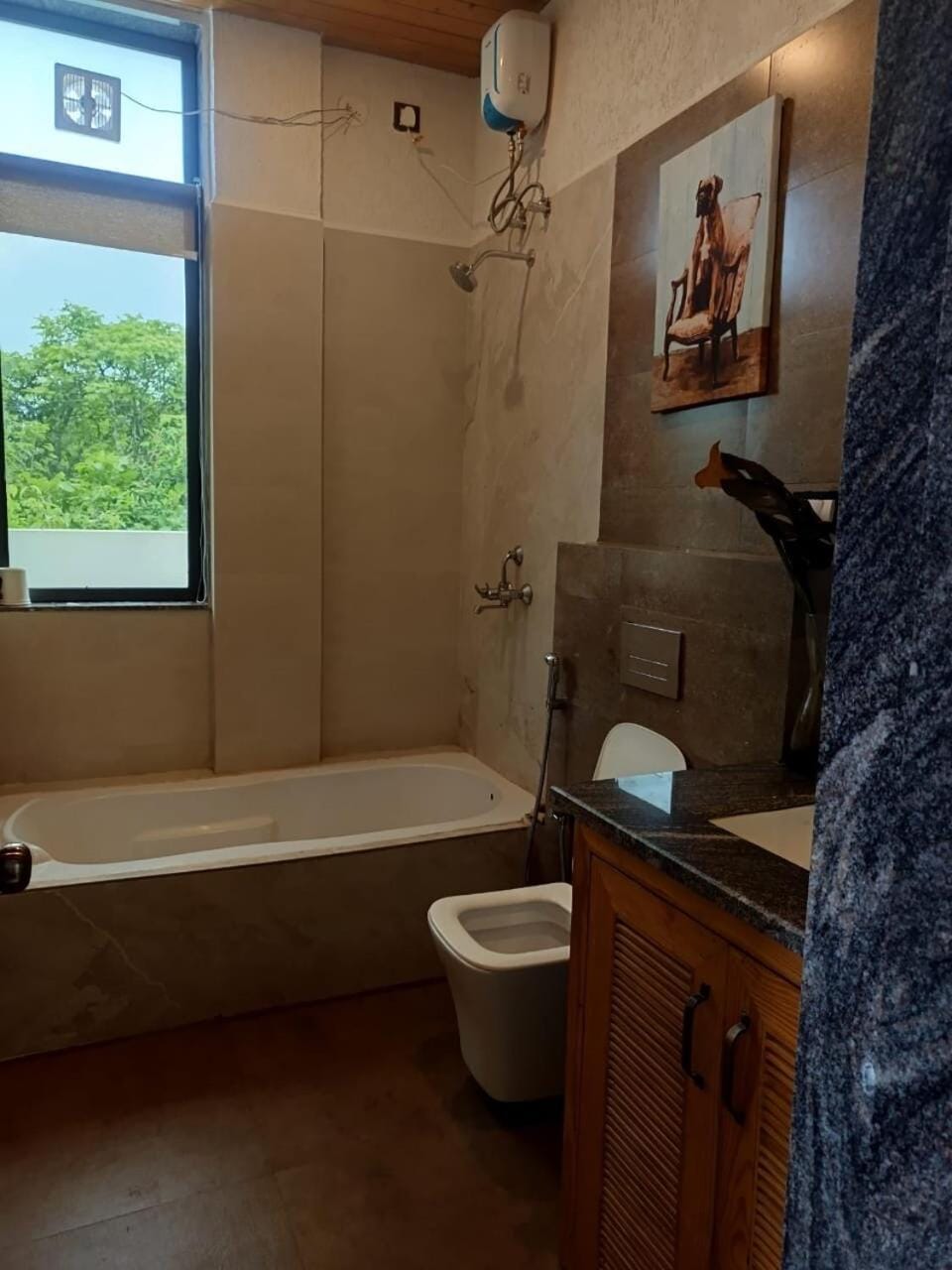 Toilet, Bathroom, Bath