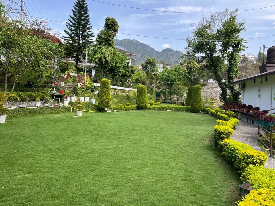 Natural landscape, Garden, Garden view, Mountain view