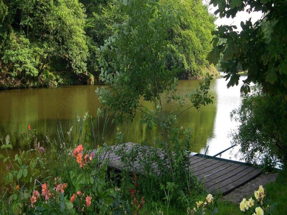 Lake view