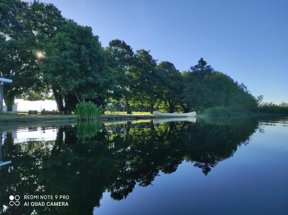 Lake view