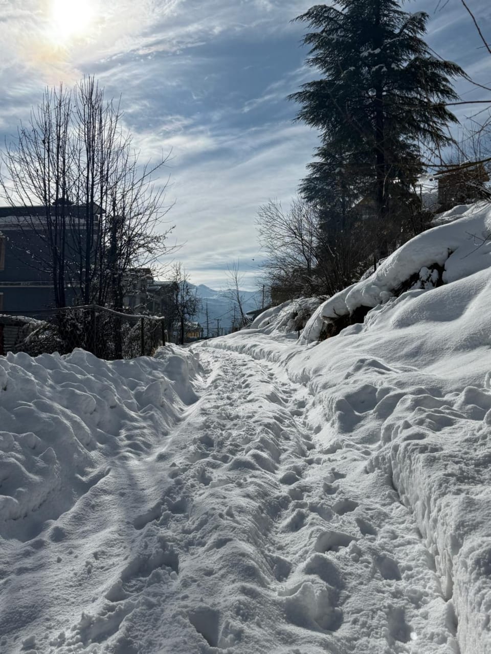 Private Villa Alpine Escape 6BHK Chalet in Manali