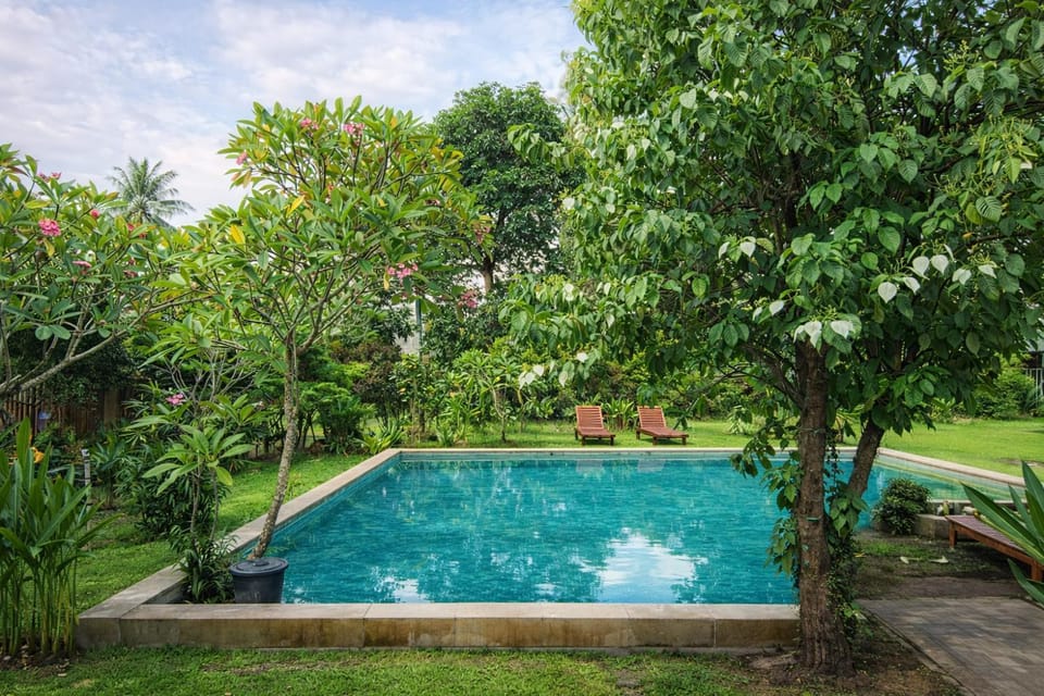 Day, Garden, Pool view, Swimming pool