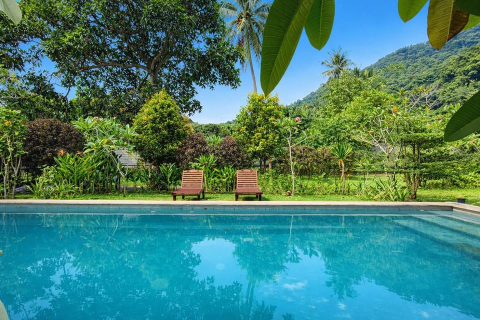 Day, Natural landscape, Garden, Garden view, Mountain view, Pool view, Swimming pool, sunbed