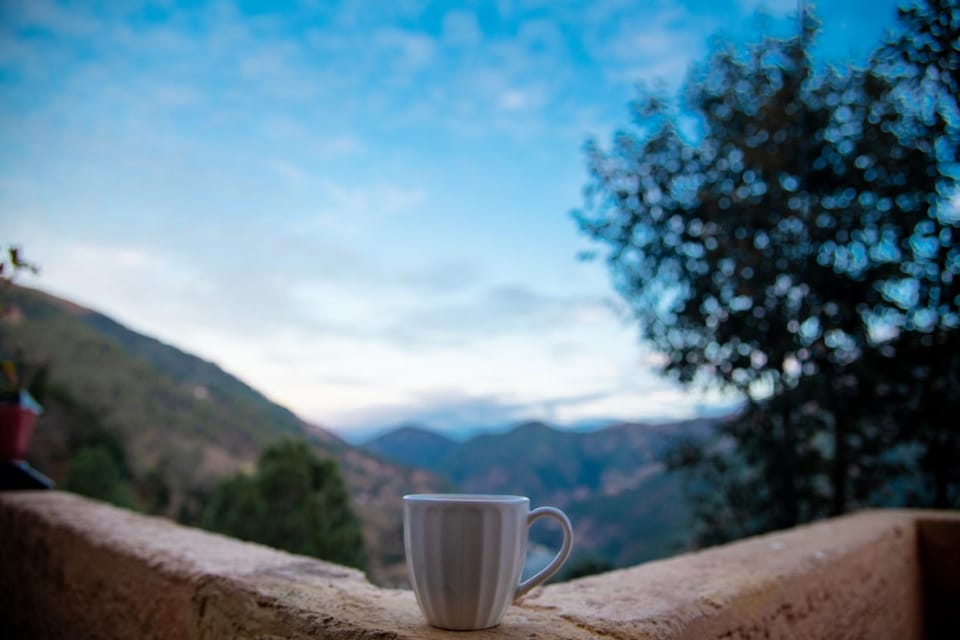 Mountain view