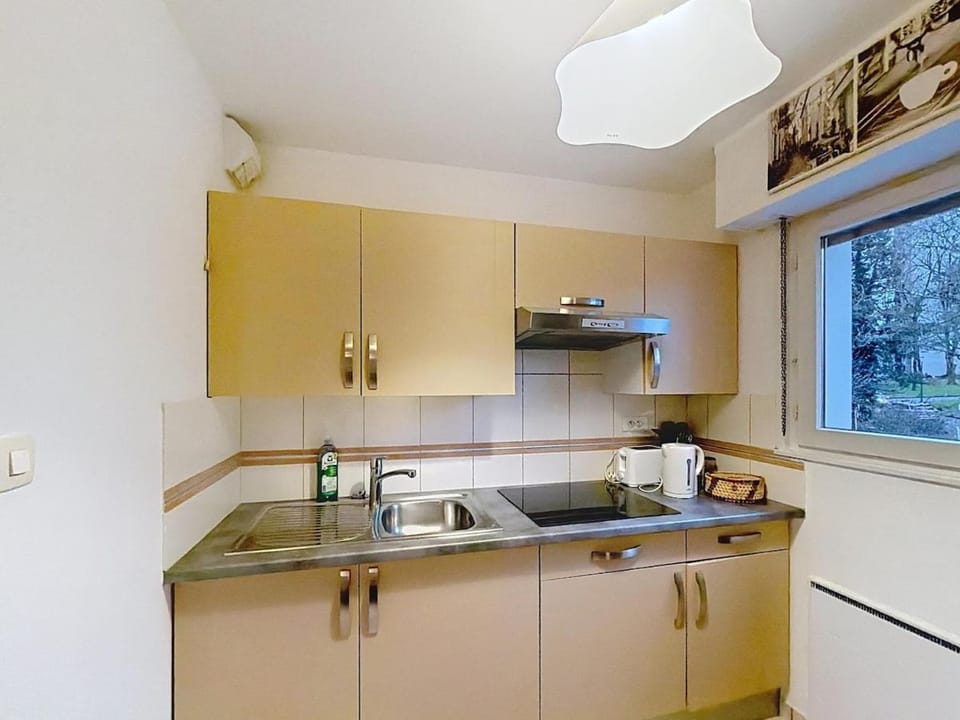 Bienvenue au Belle Hélène appartement calme Apartment in Mulhouse