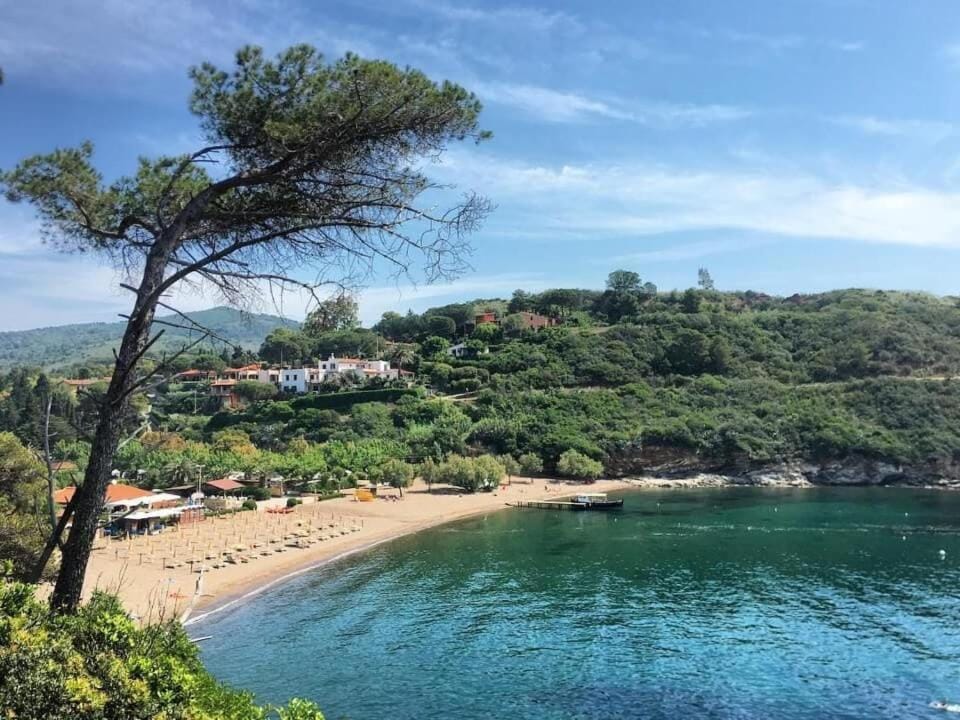 MareChiara - Goelba Apartment in Porto Azzurro