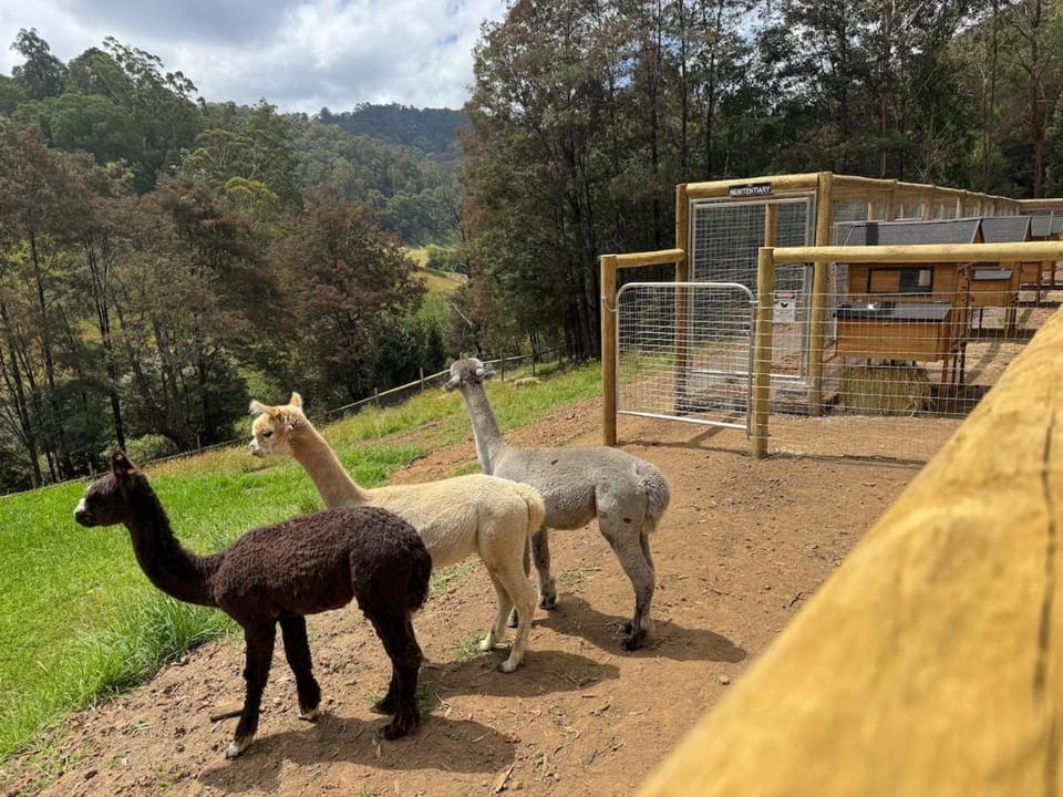 The Riverside Retreat, Farmstay Nature Escape Apartment in Noojee