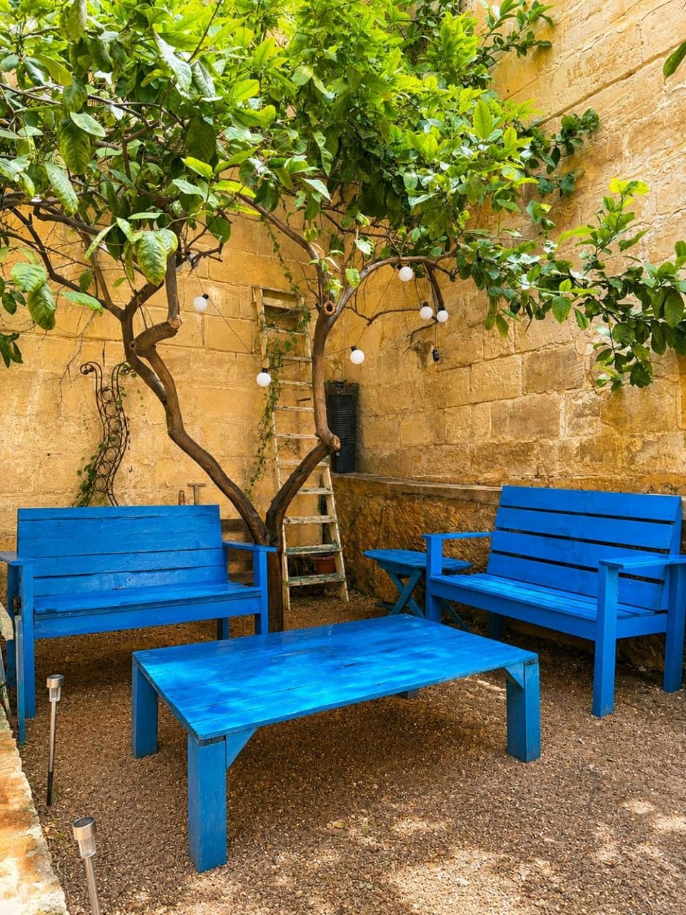 Garden, Seating area