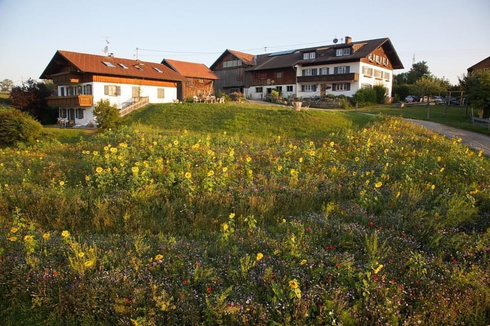 Ferienwohnung Bergblick , Hof Alpenseeblick, NesselwangAttleseeAllgäu Apartment in Bavaria