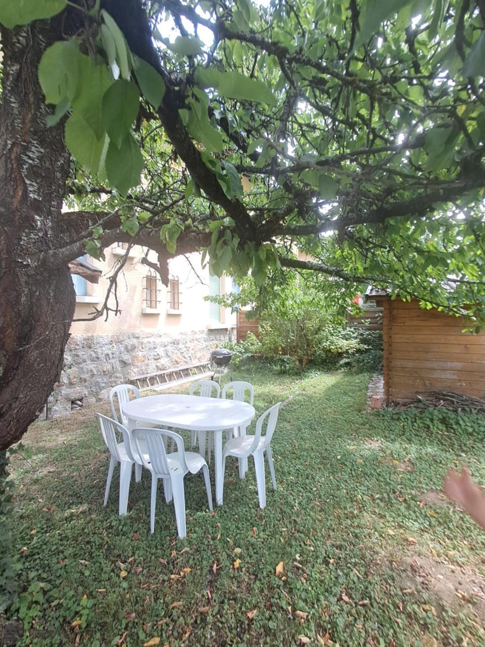 Spring, Dining area, Garden view