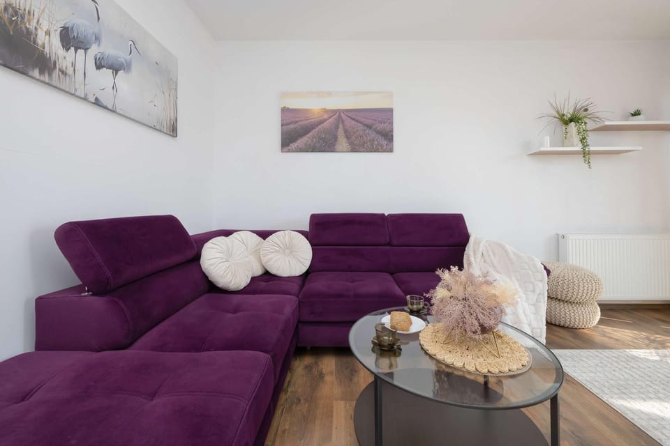 Living room, Seating area, pet friendly