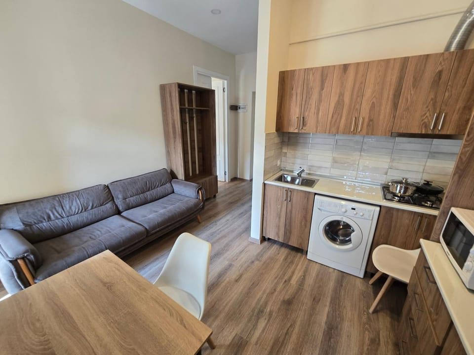 Kitchen or kitchenette, Living room, Seating area, Dining area, oven, stove, washing machine