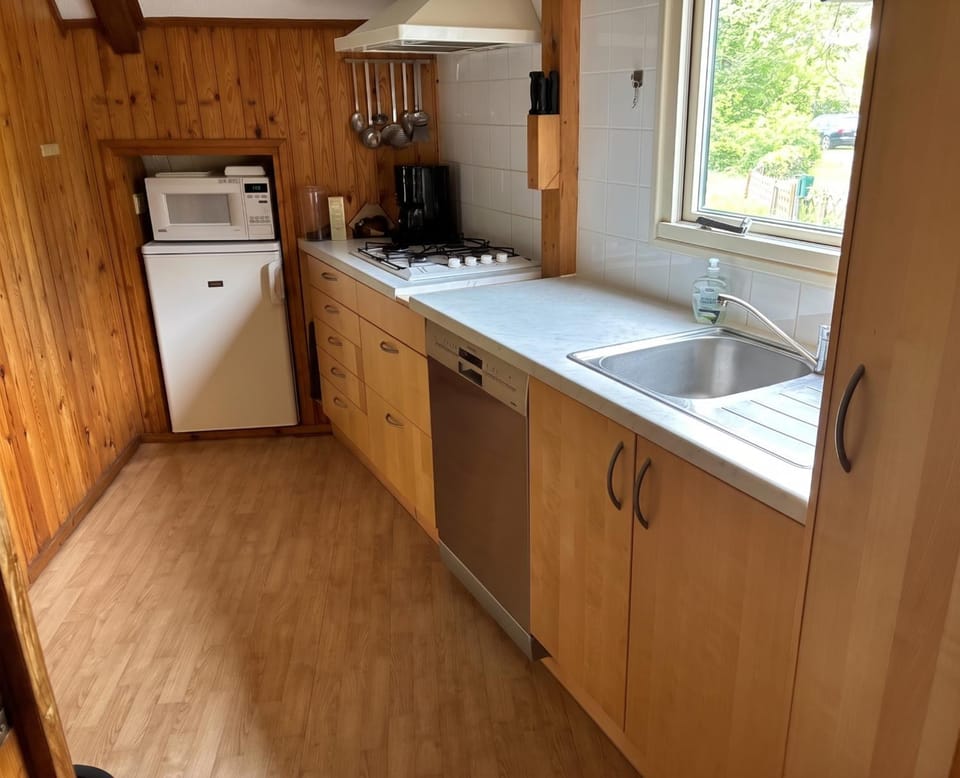 Kitchen or kitchenette, dishwasher, stove