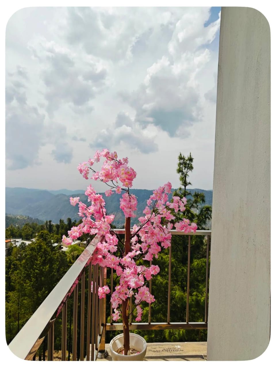 Spring, Natural landscape
