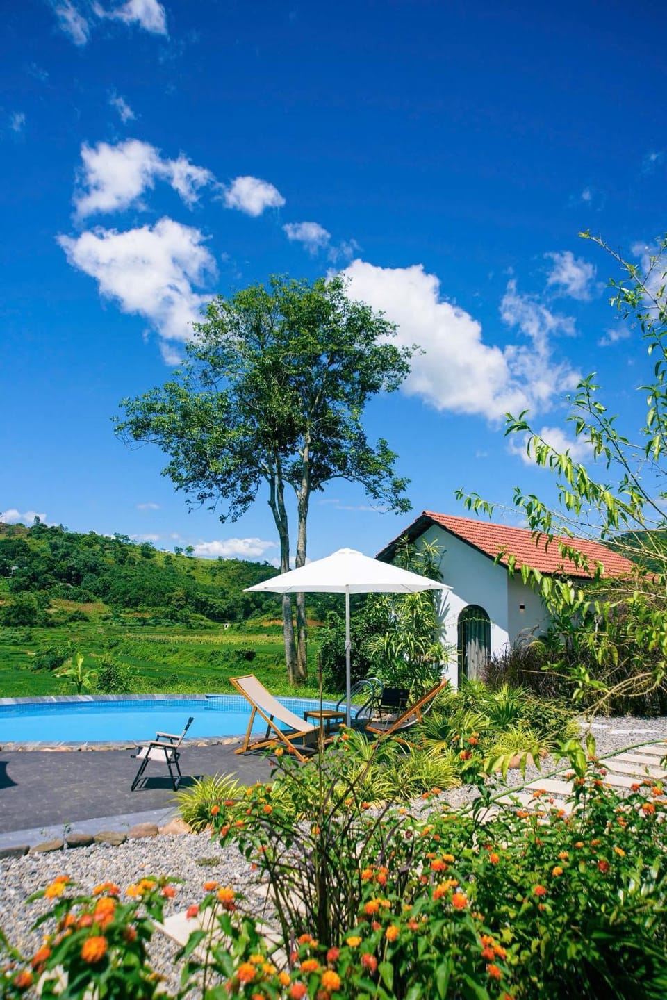 Day, Neighbourhood, Garden, Swimming pool