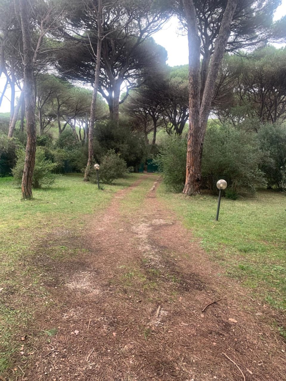 Garden, Garden view