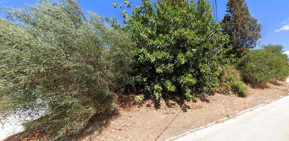 la Esperanza I Farm Stay in Fuengirola