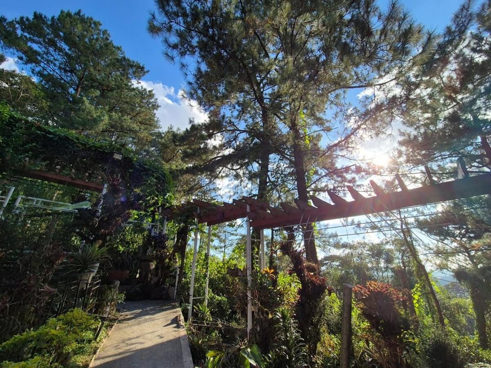 Garden, View (from property/room), View (from property/room), Mountain view, Mountain view