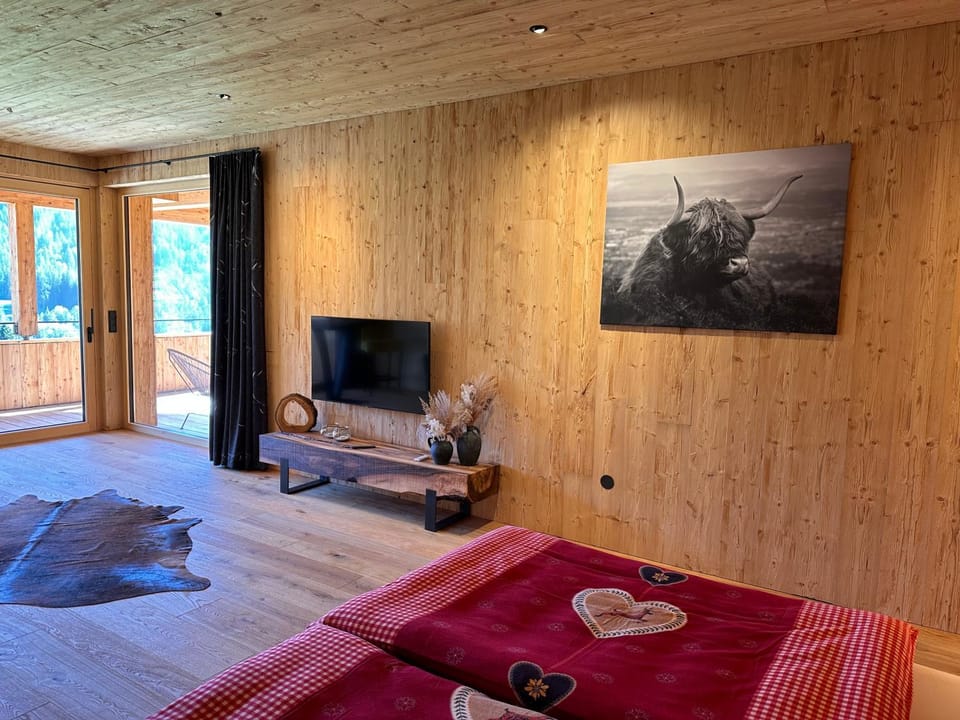 Bed, TV and multimedia