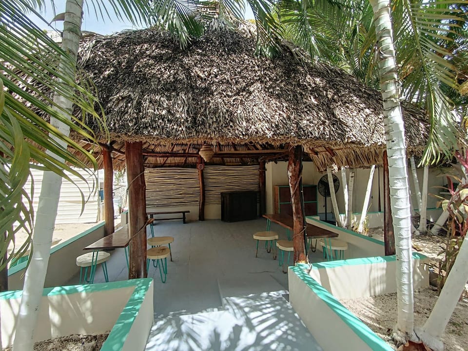 Patio, Garden, Garden view