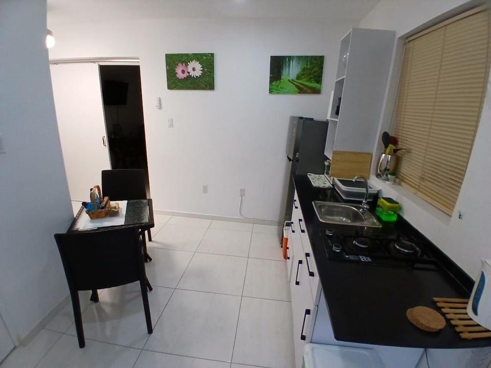 Cayenas Apartament Apartment in Willemstad