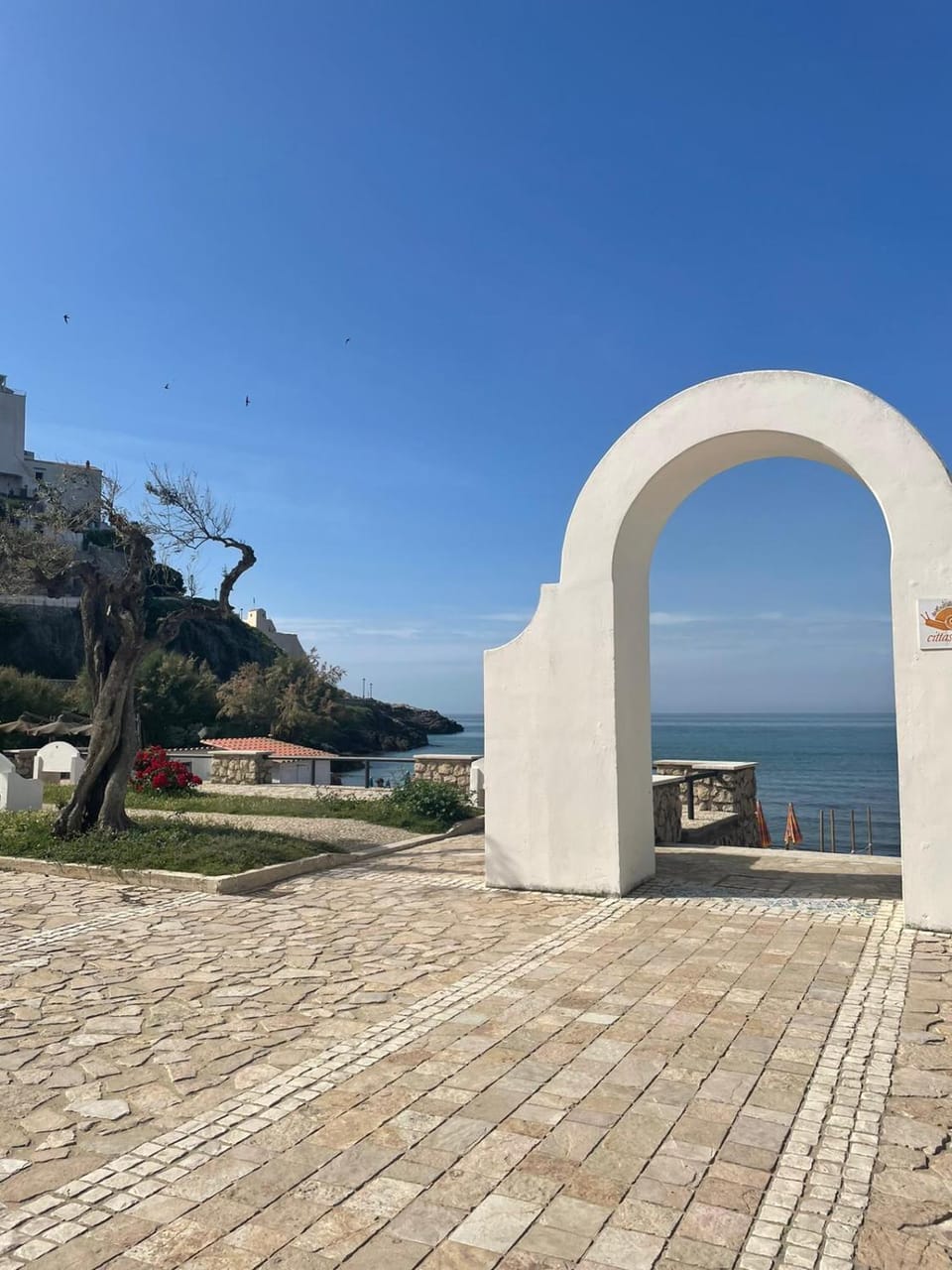 Andromeda Apartment Apartment in Sperlonga
