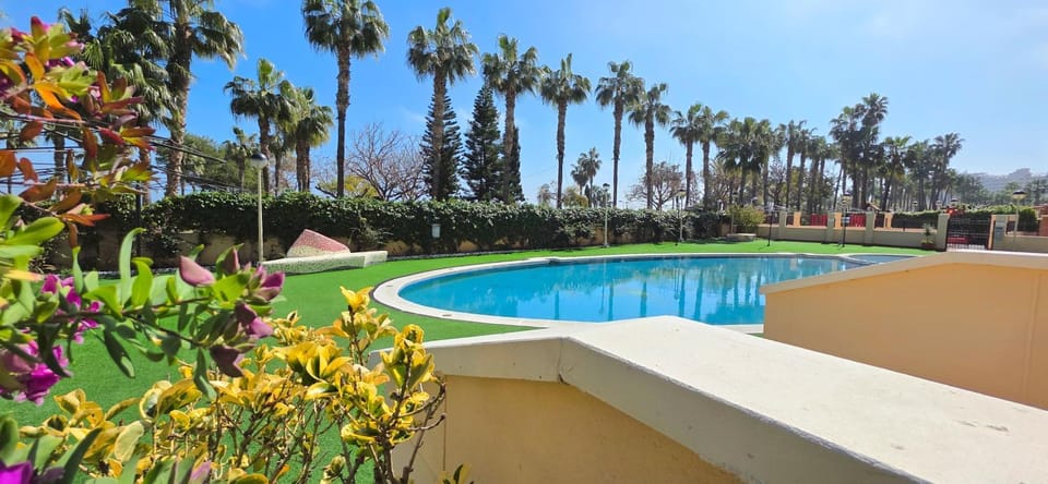 Pool view, Swimming pool