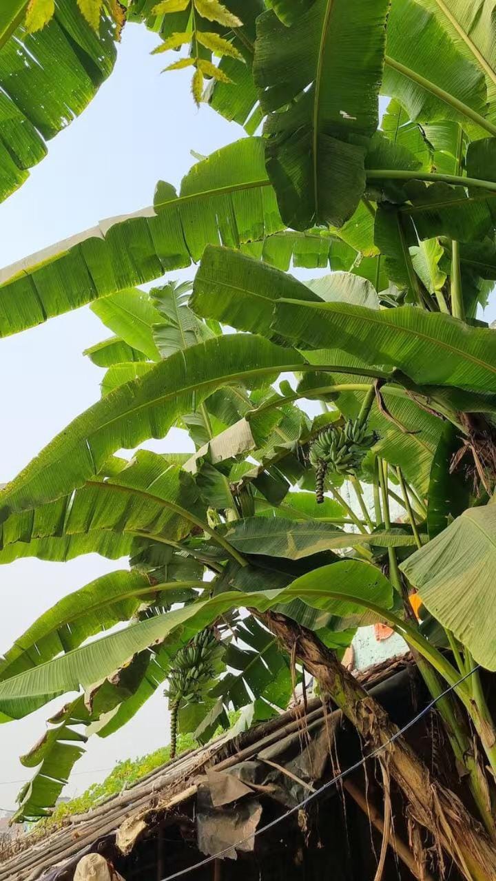 Aangan Village Stay Vacation rental in India